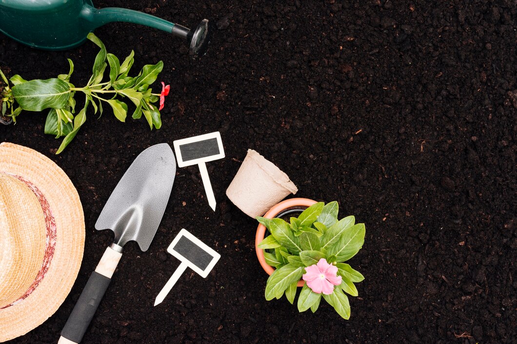 Jak dobrze zaplanować miejsce na byliny w swoim ogrodzie?