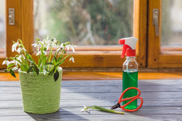 Jakie naturalne metody pomogą w utrzymaniu czystości okien i elewacji?