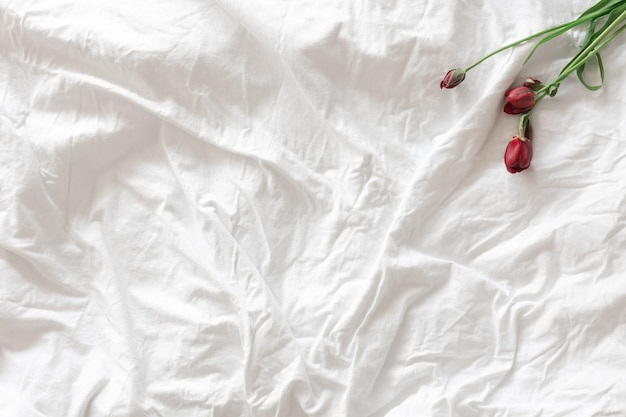 Dlaczego warto wybrać pościel z tencelu do swojej sypialni?